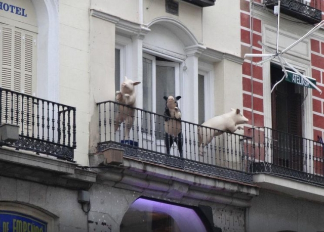 Curiosities of Madrid 